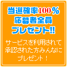 ������Ψ�����������������ץ쥼��ȥ����ʡ�����