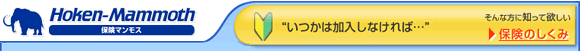�ݸ��ޥ�⥹�ߥɥ�ץ�!!