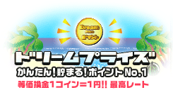 �ɥ꡼��ץ饤��