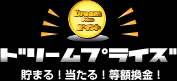 �ɥ꡼��ץ饤��