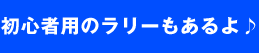 �鿴���ѤΥ�꡼�⤢����