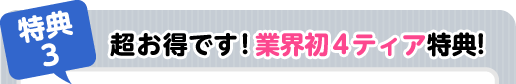 超お得!業界初4ティア特典!